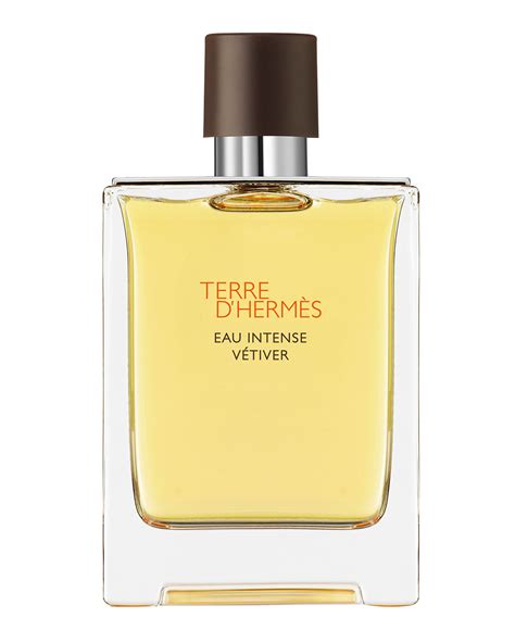 hermes vetiver homme|Hermes terre d Hermes vetiver.